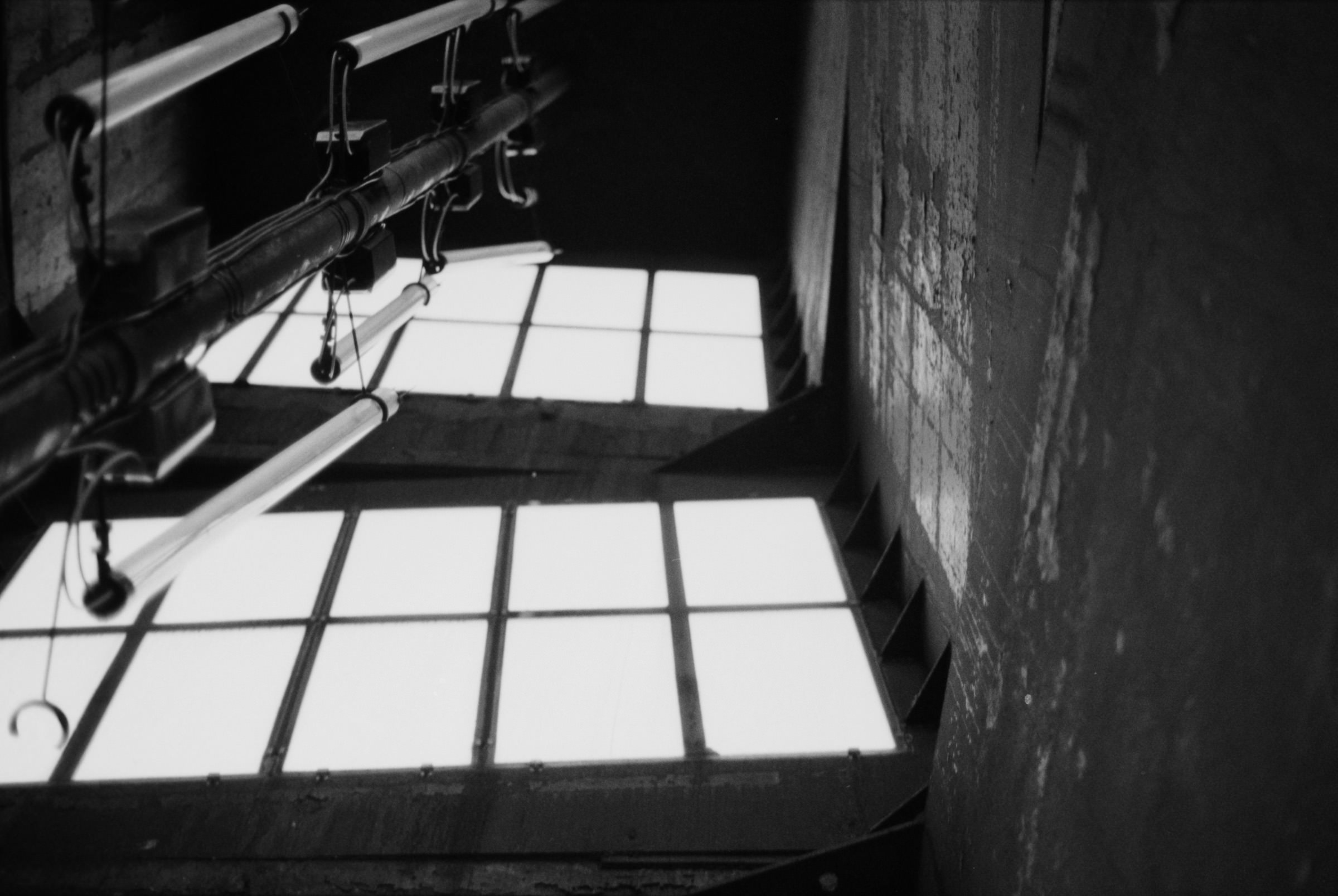 AHP F1995 10 002 sc240815 img10 NLP